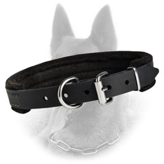 Durable Leather Belgian Malinois Dog Collar With Nickel  Covered Hardware