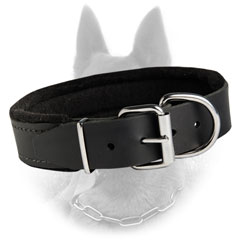 Leather Belgian Malinois Dog Collar Padded With Thick  Felt