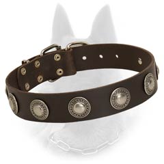 Leather Belgian Malinois Dog Collar With Medallions