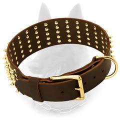 Extra Wide Leather Belgian Malinois Dog Collar With 5  Rows Of Brass Spikes