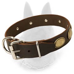 Belgian Malinois Buckled Leather Dog Collar with Nickel Fittings and Vintage Medallions