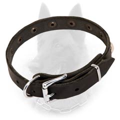 Belgian Malinois Buckled Leather Dog Collar 3/4 inch  Wide with Riveted Nickel Decoration
