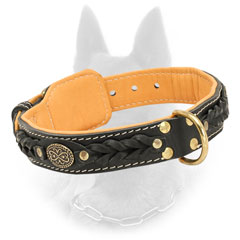 Padded Leather Belgian Malinois Collar With Brass D-Ring for Leash Attachment
