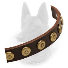 Belgian Malinois Leather Collar Strap with Brass Doted  Circles