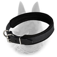 Soft Leather Belgian Malinois Dog Collar Padded With  Thick Felt
