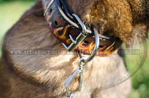 Flames Painted Belgian Malinois Dog Collar For Walking  And Training