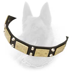 Unusual Design Leather Belgian Malinois Dog Collar With  Nickel Covered Hardware And Brass Plates