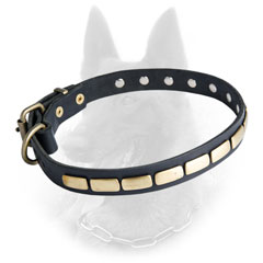 Belgian Malinois Leather Dog Collar Equipped with  Durable Steel Old Brass Plated Fittings