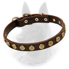 Belgian Malinois Leather Dog Collar Decorated with  Brass Doted Circles