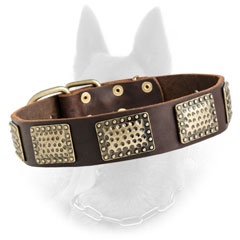Belgian Malinois Leather Dog Collar Decorated with Embossed Brass Plates