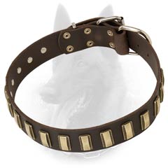 Belgian Malinois Leather Dog Collar Decorated with Nickel Covered Buckle and D-Ring