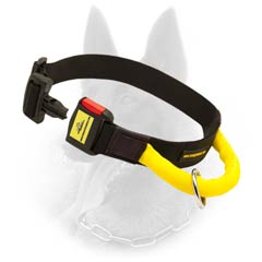 Any Weather Belgian Malinois Nylon Collar With Quick Released Buckle