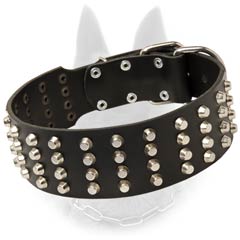 Malinois Studded Leather Dog Collar with 4 Rows of  Nickel Pyramids