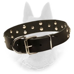 Studded Leather Belgian Malinois Dog Collar