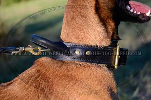 Rust Proof Nickel Plated D-Ring on Leather Dog Collar for Leash Attachment