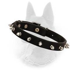 Malinois Collar With Special Decorative Spikes Evenly Destributed Around