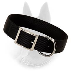 Easy Care Belgian Malinois Nylon Collar With Nickel Plated Hardware