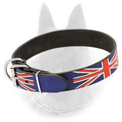 Nickeled Belgian Malinois Collar of Leather with Reliable Fitting