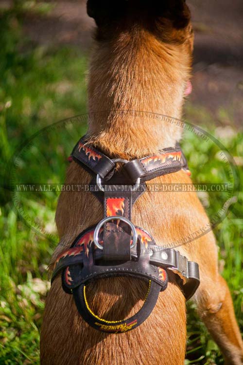 Flames Painted Back Plate of Leather Dog Harness with Reliable Handle and D-Ring