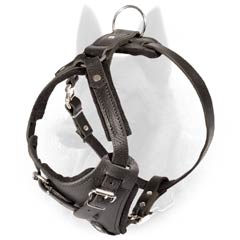 No-Doubt-Cool Belgian Malinois Leather Padded Harness