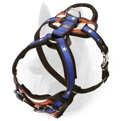 Belgian Malinois Dog Harness With American Pride Image  Painting