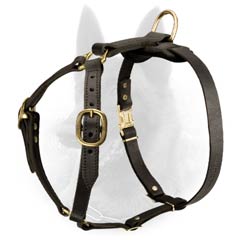 Walking Dog Equipment: Adjustable Leather Belgian Malinois Harness