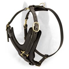 Easy Adjustable Leather Belgian Malinois Harness for Everyday Use