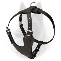 Leather Belgian Malinois Harness with Adjustable Wide Straps
