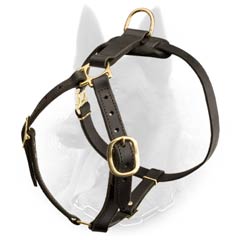 Training Dog Equipment: Leather Belgian Malinois Harness with Brass Plated Hardware