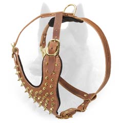 Stylish Walking Leather Belgian Malinois Harness Decorated with Brass Spikes