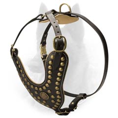 Studded Leather Dog Harness for Belgian Malinois Walking in Style