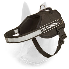 All Weather Nylon Belgian Malinois Harness with Reflective Strap for Police Dogs
