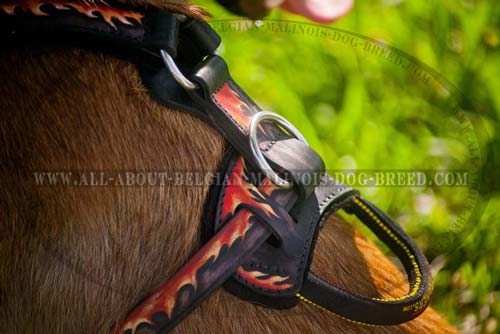 Exclusive Belgian Malinois Dog Breed Leather Harness For Family Activities