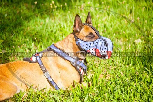 Comfy Belgian Malinois Dog Harness For Active Training