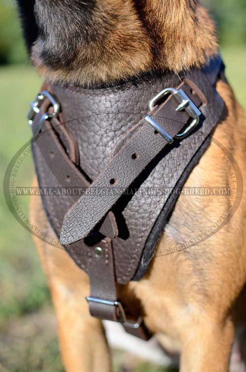 Thick Felt Padded Chest Plate of Training Leather Dog Harness