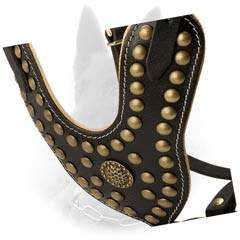 Studded Y-Shaped Chest Plate of Adjustable Leather Dog Harness