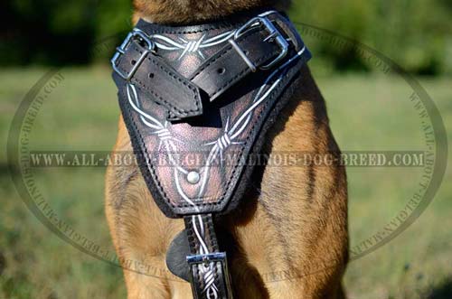 Barbed Wire Painted Chest Plate of Leather Dog Harness for Training