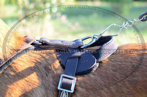 Solid Nickel Plated D-Ring on Walking Leather Dog Harness