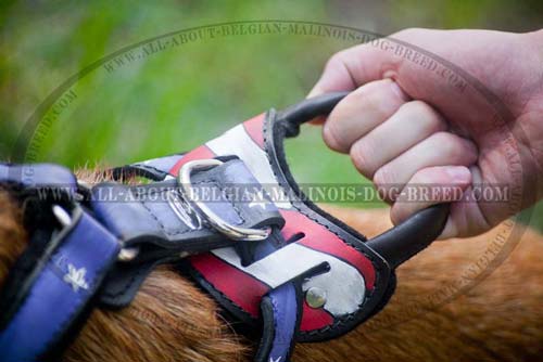Round Handle on American Flag Painted Leather Dog Harness for Training