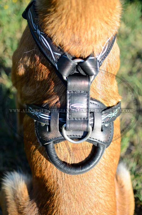 Belgian Malinois Dog Harness For High Activities With Painting And Handle