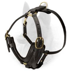 Training Leather Malinois Harness Fitted with Lasting Brass Hardware