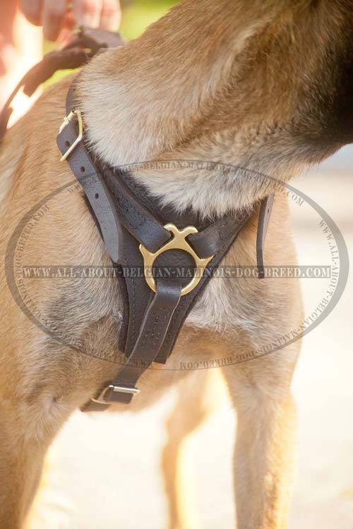 Padded Chest Plate of Leather Dog Harness for Comfy Walking