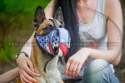 Gorgeous American Flag Painted Leather Belgian Malinois Muzzle