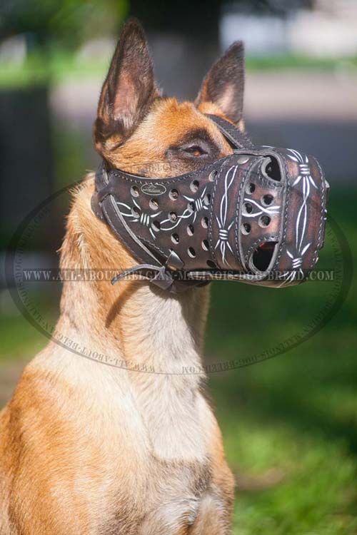 Modern Malinois Muzzle Barbed Wire Hand Colored 