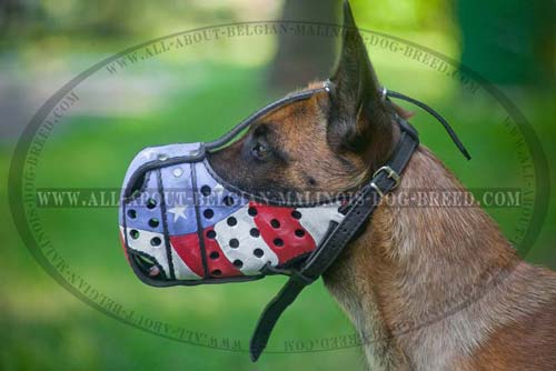 Hand Painted Leather Malinois Muzzle with Adjustable Straps