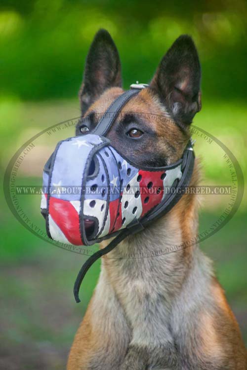Perfectly Ventilated Painted Leather Belgian Malinois Muzzle