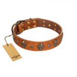 "Rockstar" FDT Artisan Tan Leather Belgian Malinois Collar with Engraved Studs and Medallions