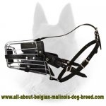 'No Mash' Basket Wire Dog Muzzle Perfect for Belgian Malinois