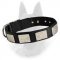 Belgian Malinois Two Ply Nylon Dog Collar with Massive Silver Plates