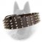 Spiked Belgian Malinois Leather Collar 2 inch Width